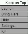 Icon application menu